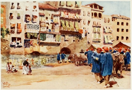 GERONA. THE CATTLE MARKET