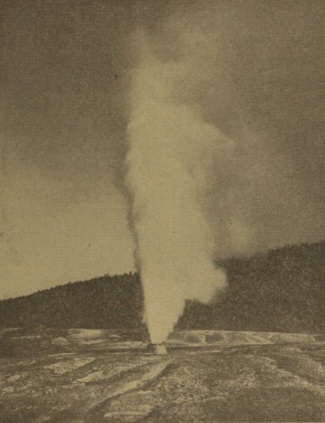 THE BEEHIVE GEYSER