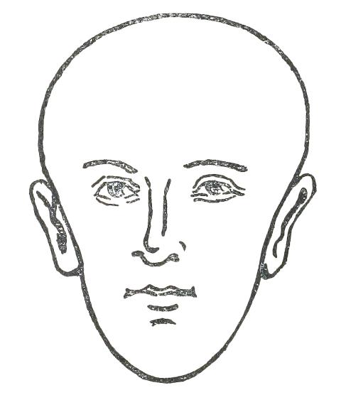 Fig. 14

PEAR-SHAPED FACE