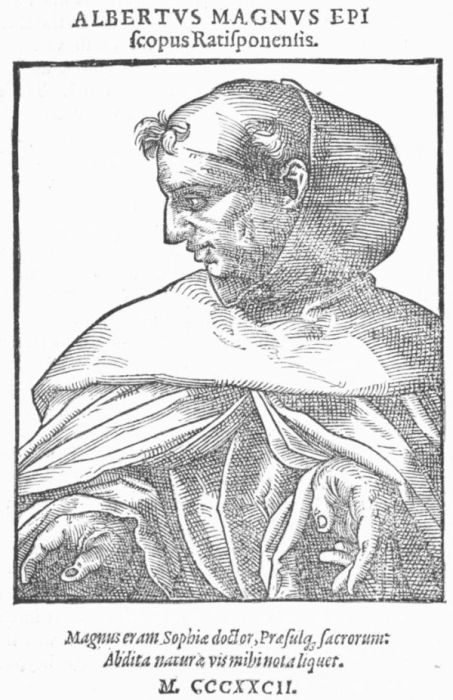 ALBERTUS MAGNUS.