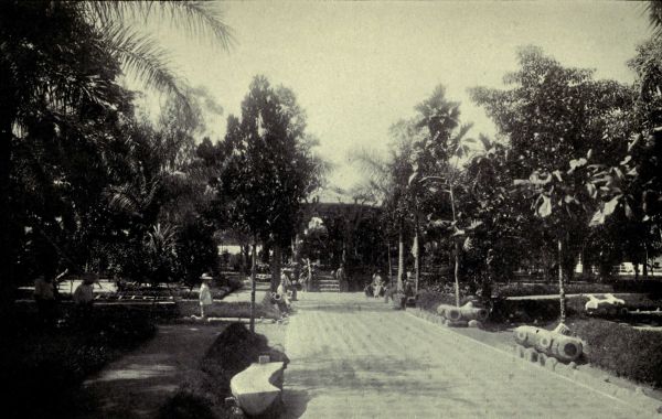 Parque