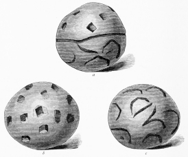 No. 300. Terra-cotta Ball (4 M.).

a. Side View. b. Upper Hemisphere. c. Lower Hemisphere, with the
Inscription.