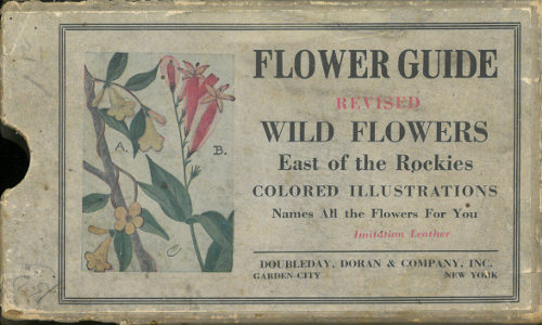 FLOWER GUIDE: WILD FLOWERS EAST OF THE ROCKIES (REVISED AND WITH NEW ILLUSTRATIONS)