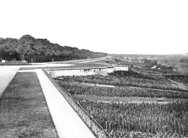 The Terrace at Saint-Germain.