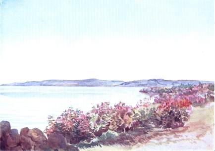 GALILEE, LOOKING FROM NEAR THE MOUTH OF THE JORDAN
TOWARDS THE “MOUNT OF BEATITUDES” AND TABOR

Oleanders in flower skirting shore in foreground. Top of Mount Tabor
showing over nearer mountains in distance.