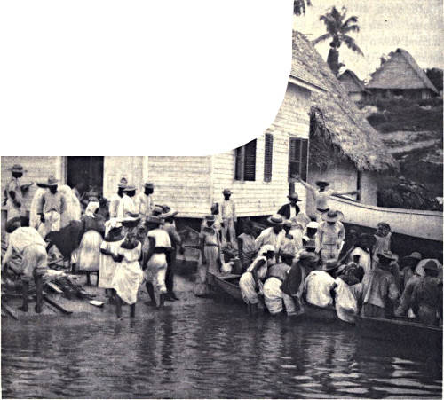 Caribs buying fish at Livingston