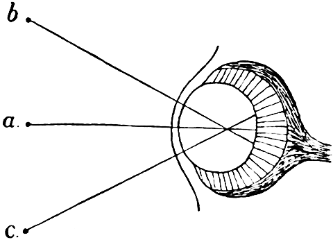 Fig. 39