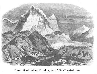 Summit of forked Donkia, and 